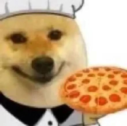 铲屎官看过来！这套小狗厨师表情包太适合斗图了