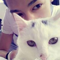 42张抱猫情侣头像来啦！一男一女超有爱超好看