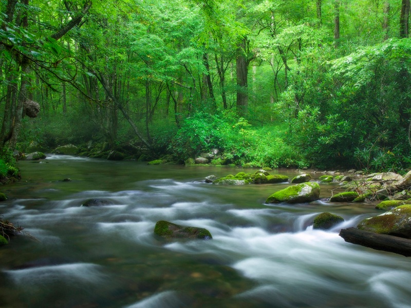 带森林河流的治愈系风景电脑壁纸推荐