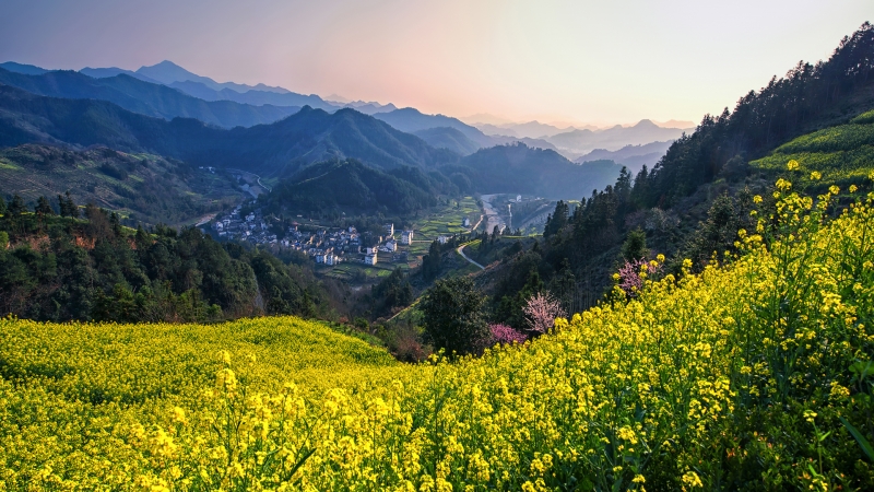 春天山村油菜花群山风景壁纸来了
