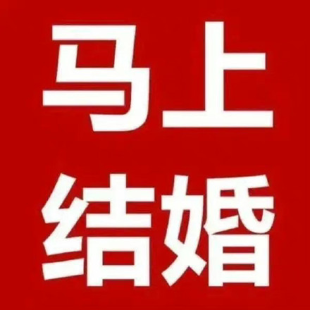 聊天党必备！好用又好玩的表情包合集