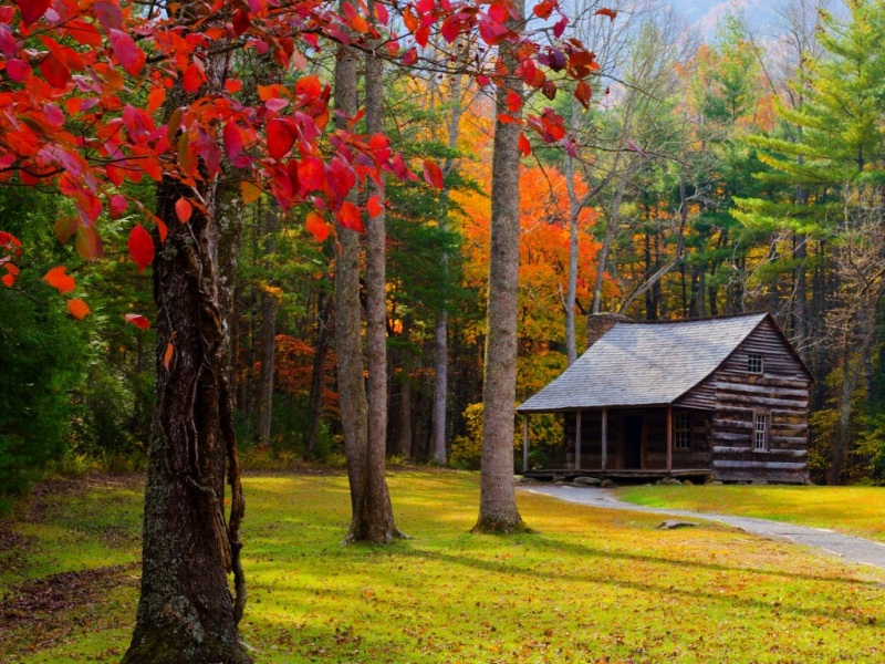 秋日森林小木屋风景 电脑动漫壁纸合集