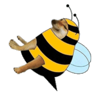cheems柴犬表情包合集