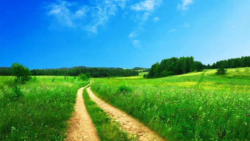 春日道路林间天空绝美风景高清电脑壁纸