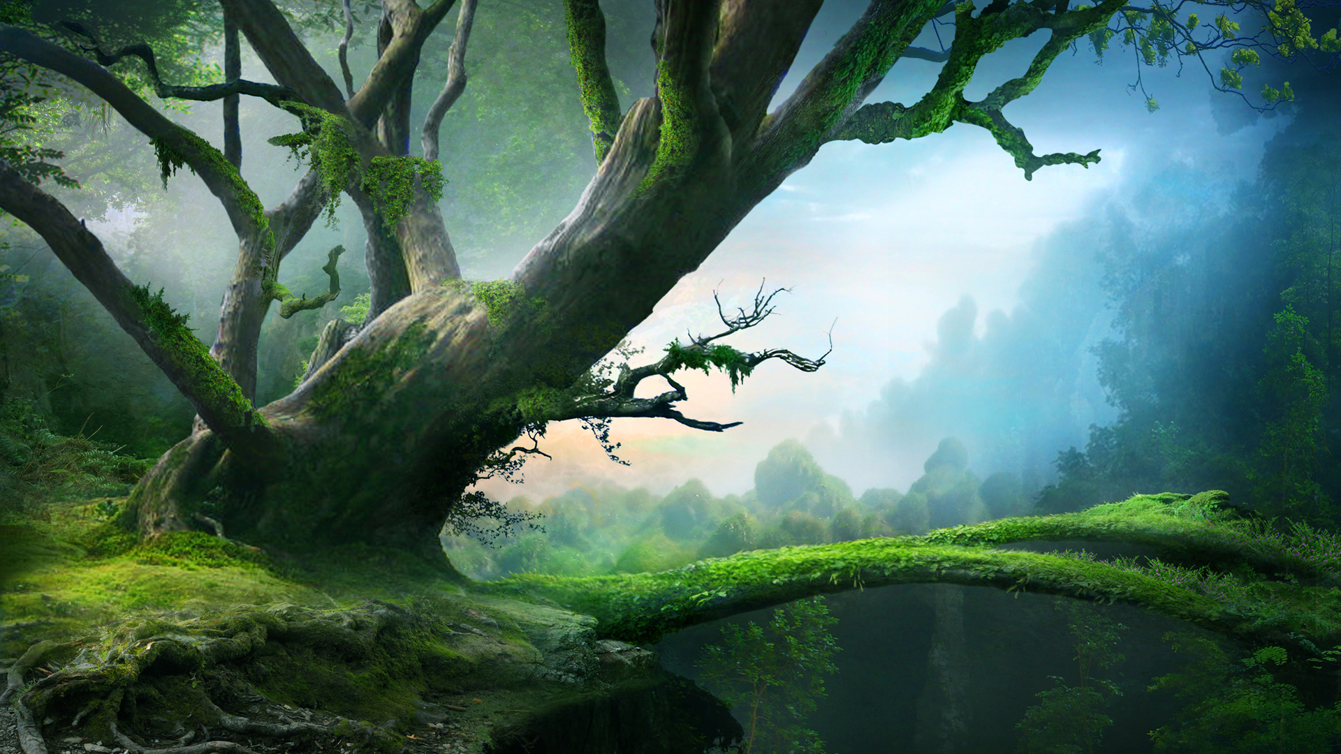 超治愈森林树桥手绘风电脑桌面壁纸来啦