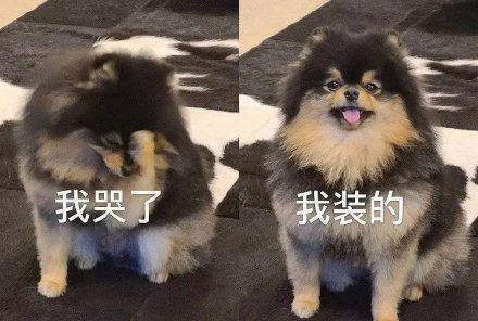 “我哭了我装的”表情包合集来了 斗图必备反向情绪表情