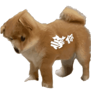 聊天斗图必备！站岗小狗表情包合集整理好了