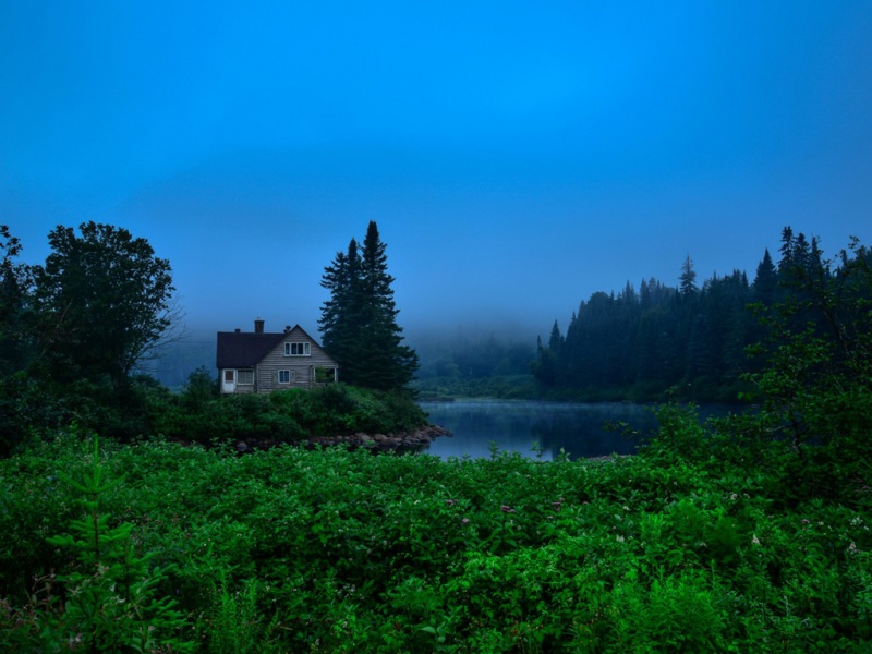 卡地亚公园静谧风景电脑壁纸 森林河流房屋治愈场景