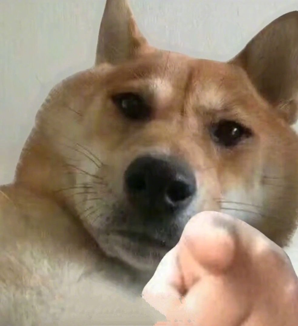 聊天斗图必备！指人表情包系列合集