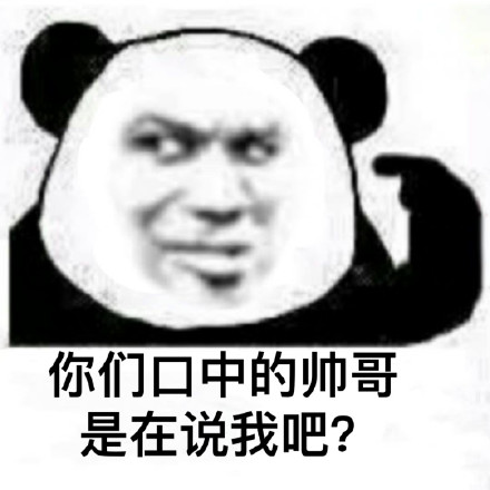 聊天斗图别输阵！这套熊猫头表情包合集收好