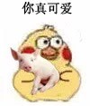 超萌小黄鸡抱猪猪表情包合集来啦