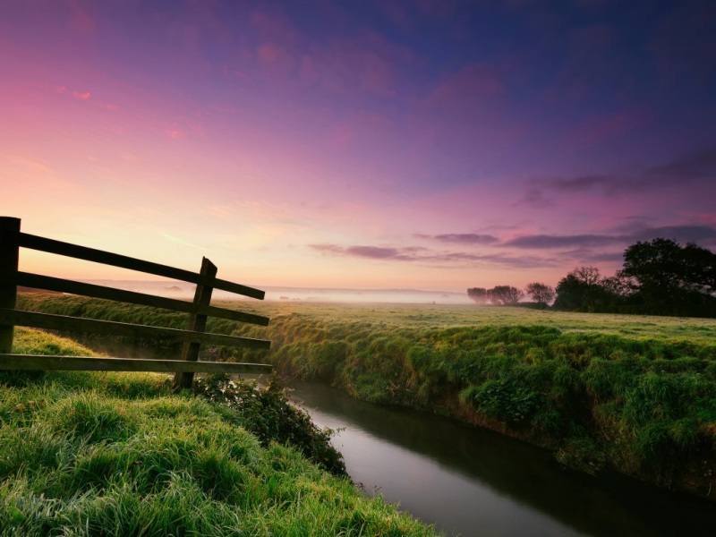 带清晨露水的林间小河 电脑桌面动漫风景壁纸