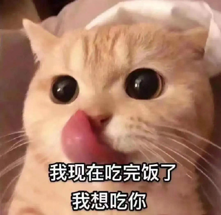 11月18日热门表情包合集来啦