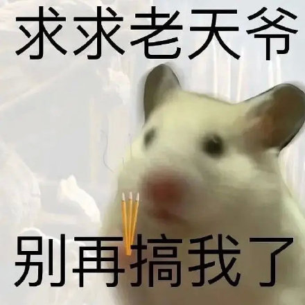 聊天斗图必备！这套小仓鼠表情包太会整活了