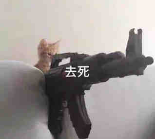 聊天斗图必备！这套沙雕猫咪表情包太会整活了