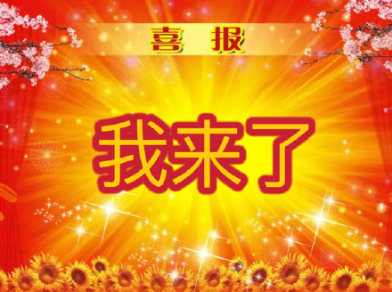 打工人日常整活！这套喜报表情包太懂摸鱼爽点了