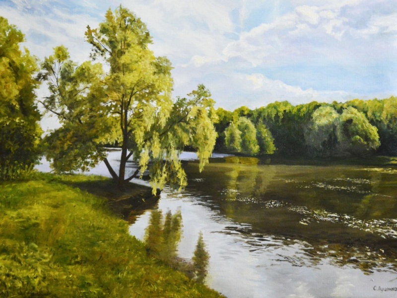 流淌河水配丛林天空的电脑动漫风景壁纸