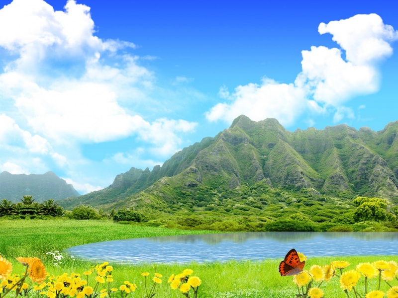 夏日清新自然风景壁纸合集