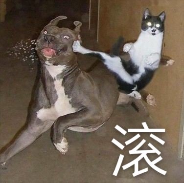 聊天斗图神器！祖安狂人专属冲浪表情包来了