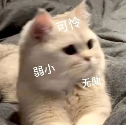 1月17日斗图表情包合集整理