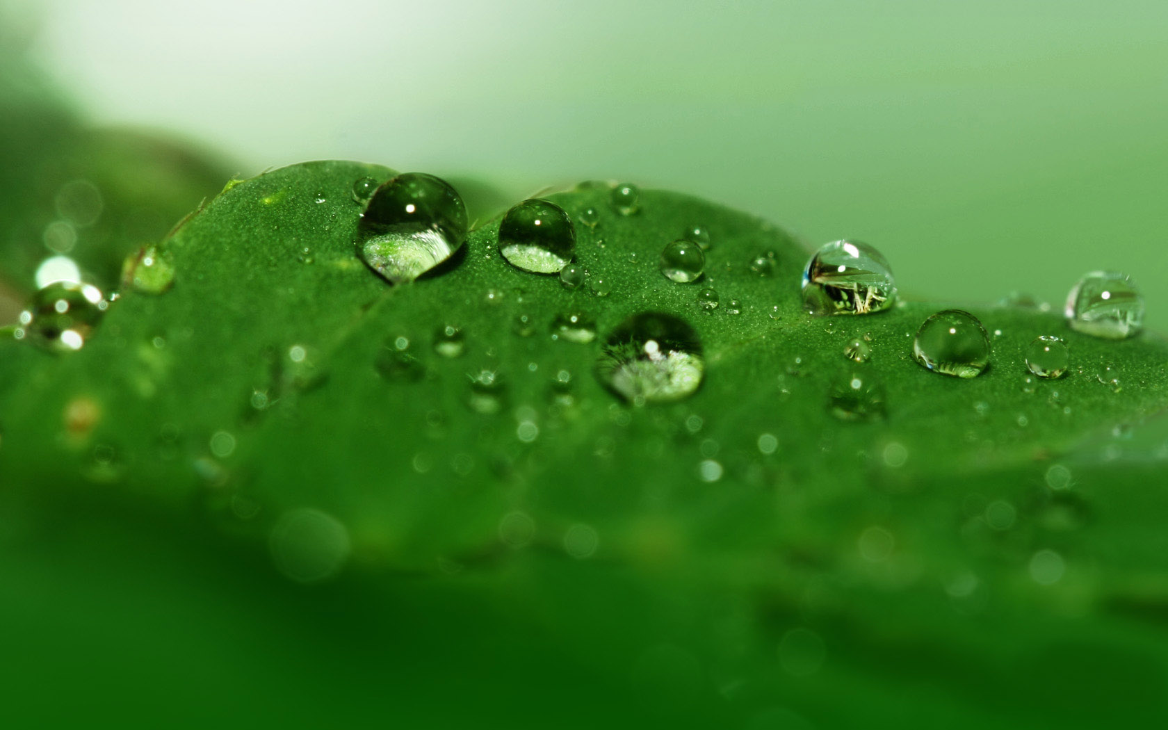 水滴涟漪电脑桌面动漫壁纸分享