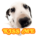 妹子斗图必备！这套软萌小动物表情包赶紧收好