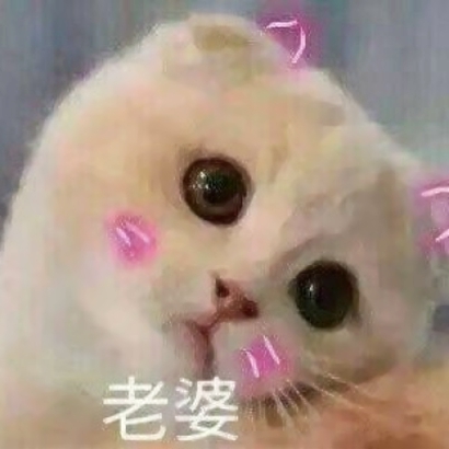 20张超萌情侣猫咪头像 抖音同款高清可爱头像合集