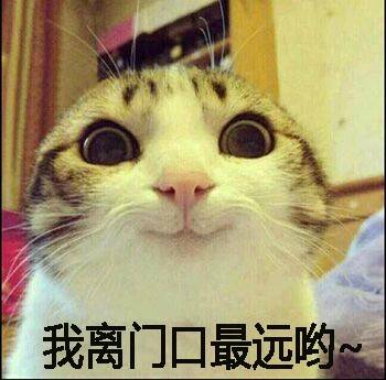 宿舍关灯内卷现场！这组表情包精准戳中当代大学生日常