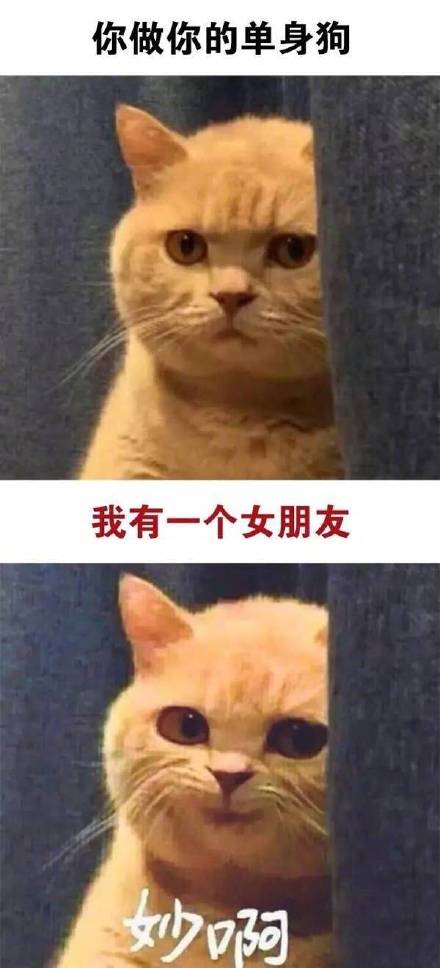 这款“真是妙啊”表情包火了，怼人摆烂都能用