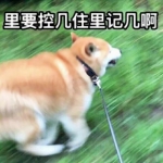 高清可爱沙雕情侣头像合集 28张可直接保存