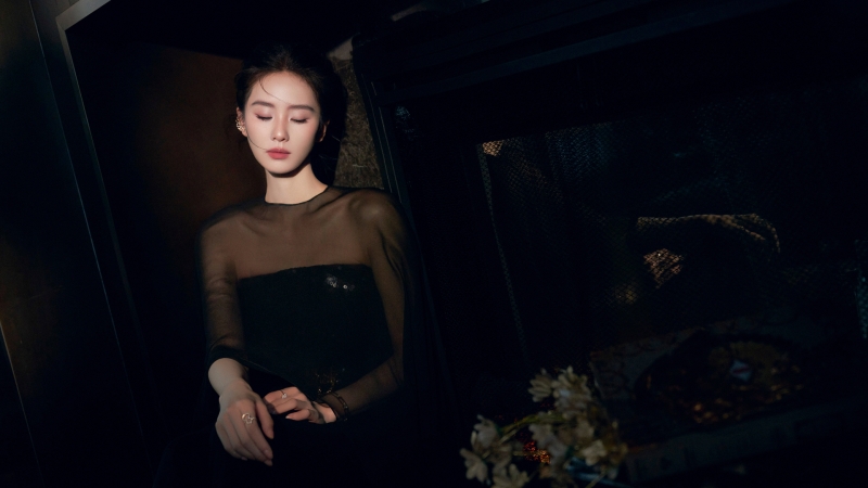 刘诗诗黑色长裙高清壁纸推荐