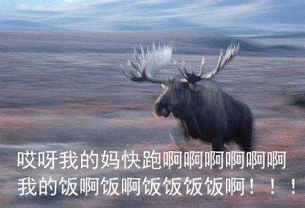 开饭啦！快喊上搭子一起冲这组表情包