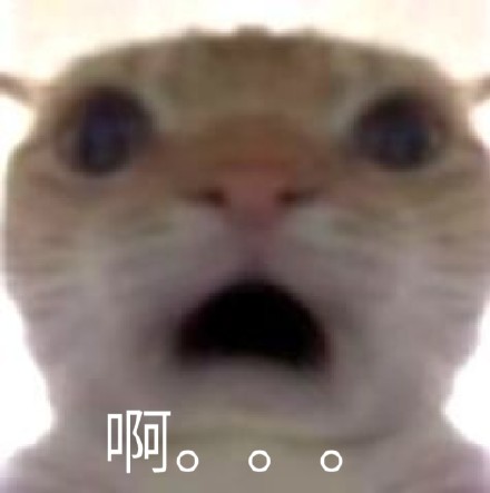 好用的奇怪猫猫狗狗斗图表情包合集