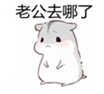 姐妹们找的老婆撩老公表情包来啦