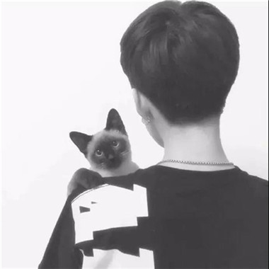一男一女带猫咪的情侣头像来啦！12张高清帅气抱猫情头合集