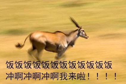 开饭啦！快喊上搭子一起冲这组表情包