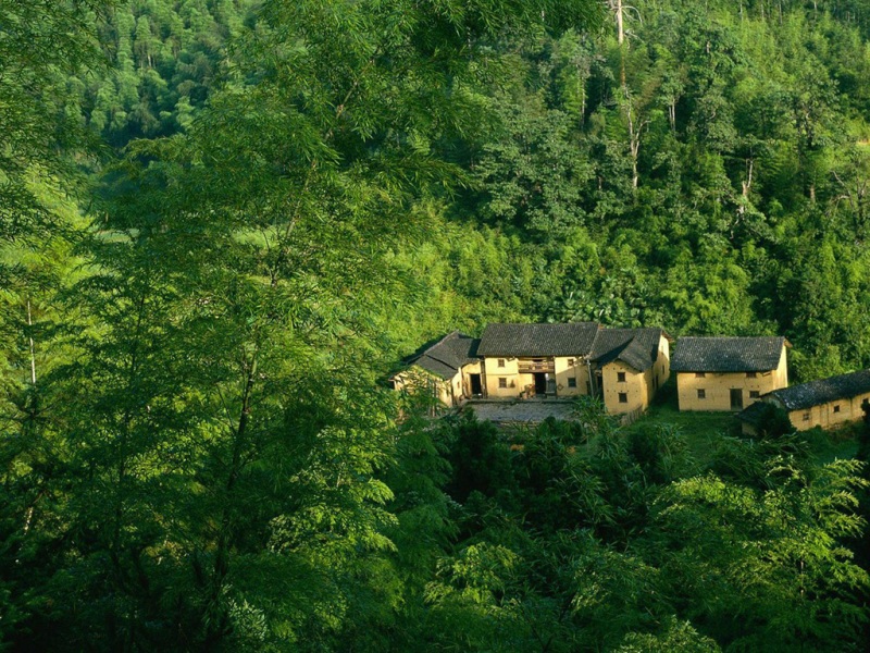 竹林深处的静谧小屋 这款风景电脑壁纸太治愈了