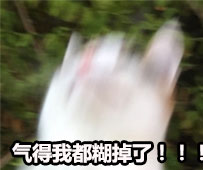 气得我都糊掉了 热门斗图表情包合集