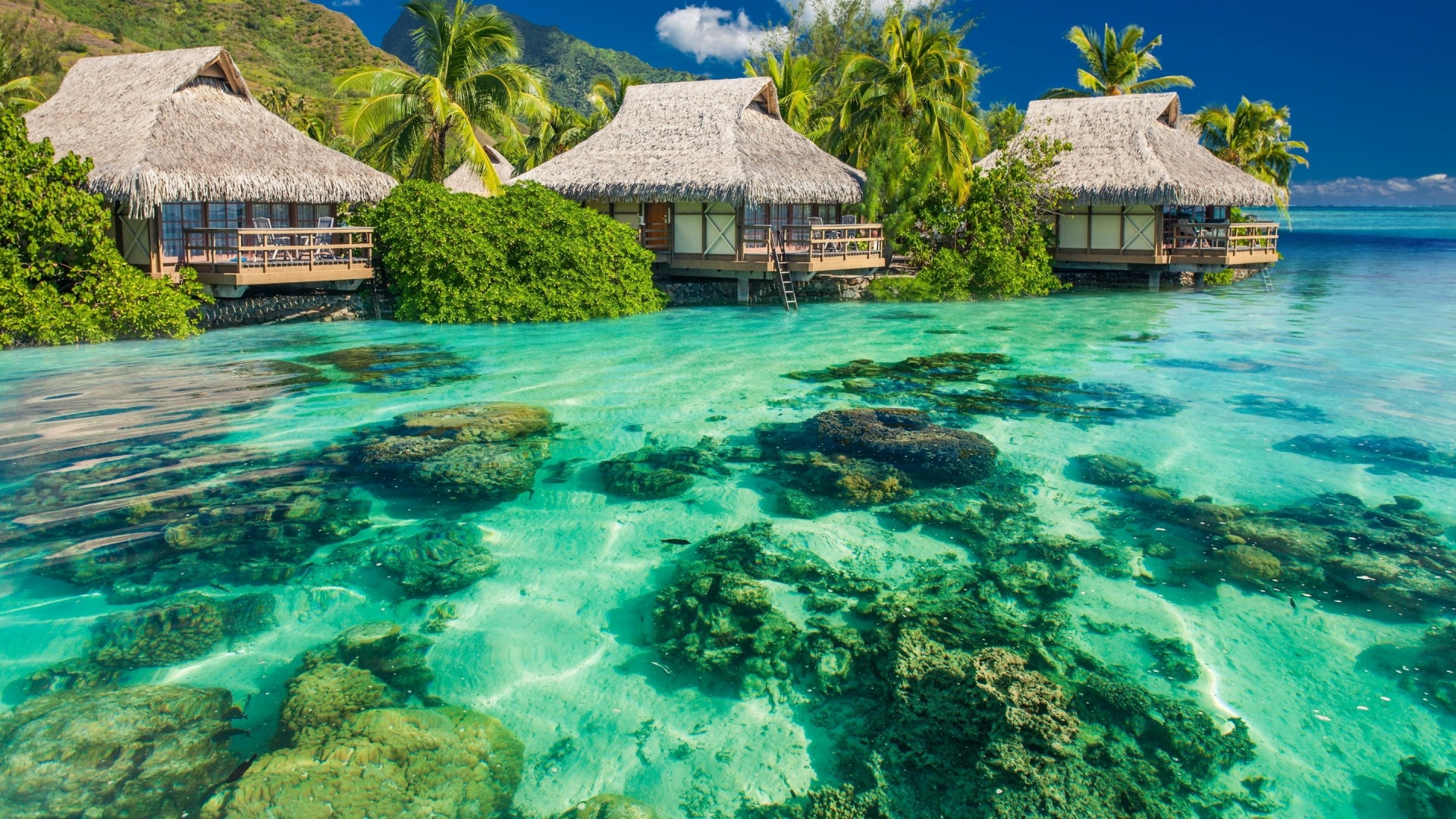 这款带平房的海边风景壁纸太治愈了