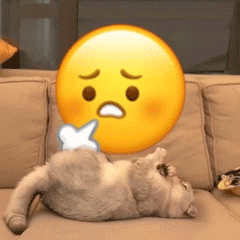 小猫咪踹小黄脸表情包合集