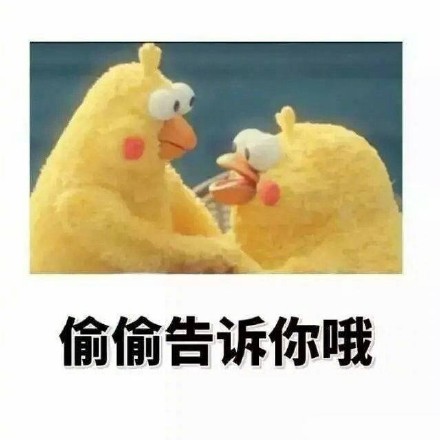 鹦鹉兄弟版“偷偷告诉你”表情包来啦