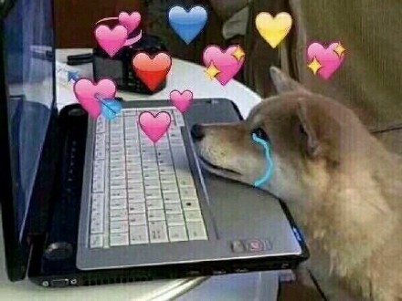 满屏小心心太甜啦！我的眼里都是你的表情包合集