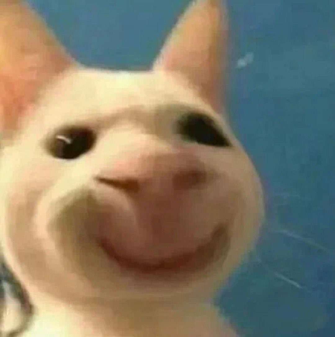 聊天斗图神器！这套小动物无字表情包太好用了