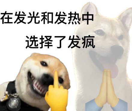 主打一个发疯！这套梗表情包火了