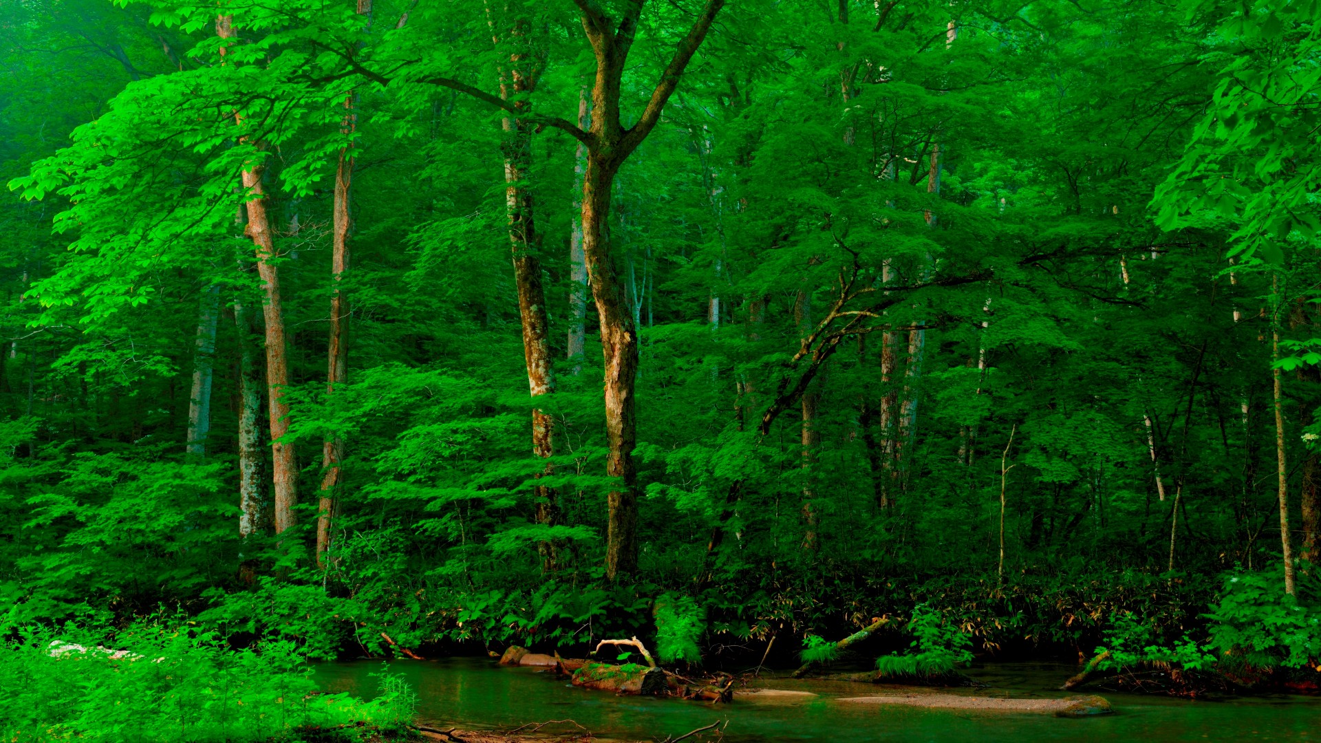 阿尔卑斯山河流沙滩森林风景电脑壁纸合集