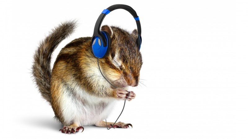戴耳麦听音乐的可爱松鼠 高清电脑桌面壁纸来啦