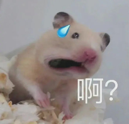 聊天斗图必备！这套小仓鼠表情包太会整活了