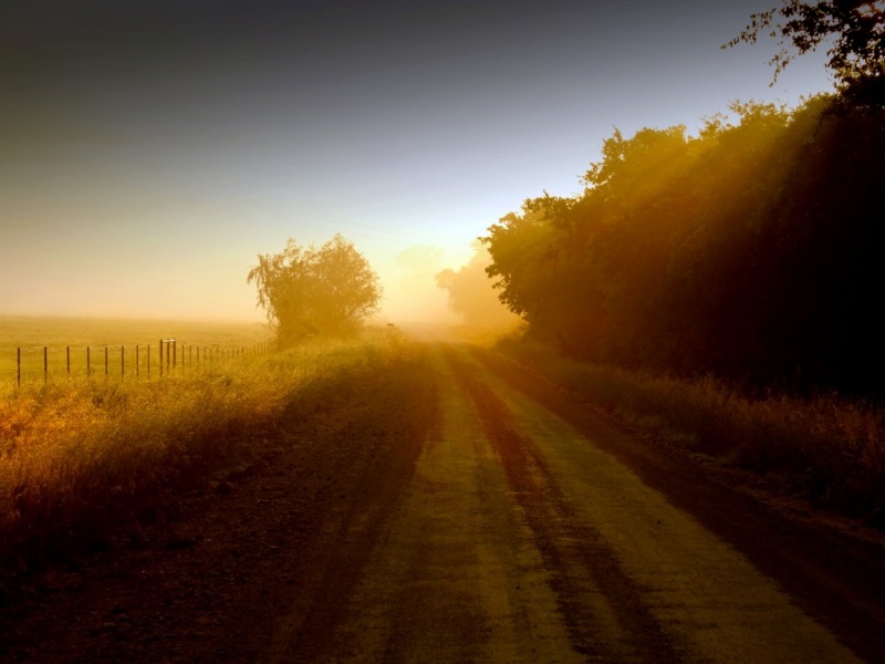 带草栅栏和马路的自然风景壁纸合集