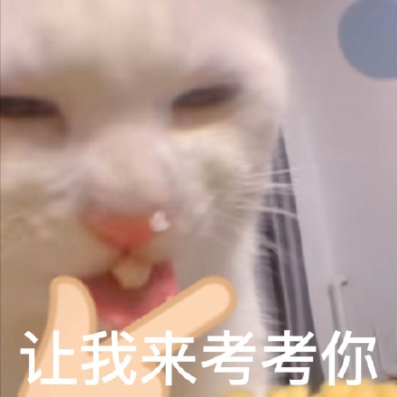 又有新的奇怪猫猫表情包可以用啦