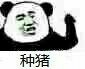看你一眼就没了兴致？这套怼人表情包火了